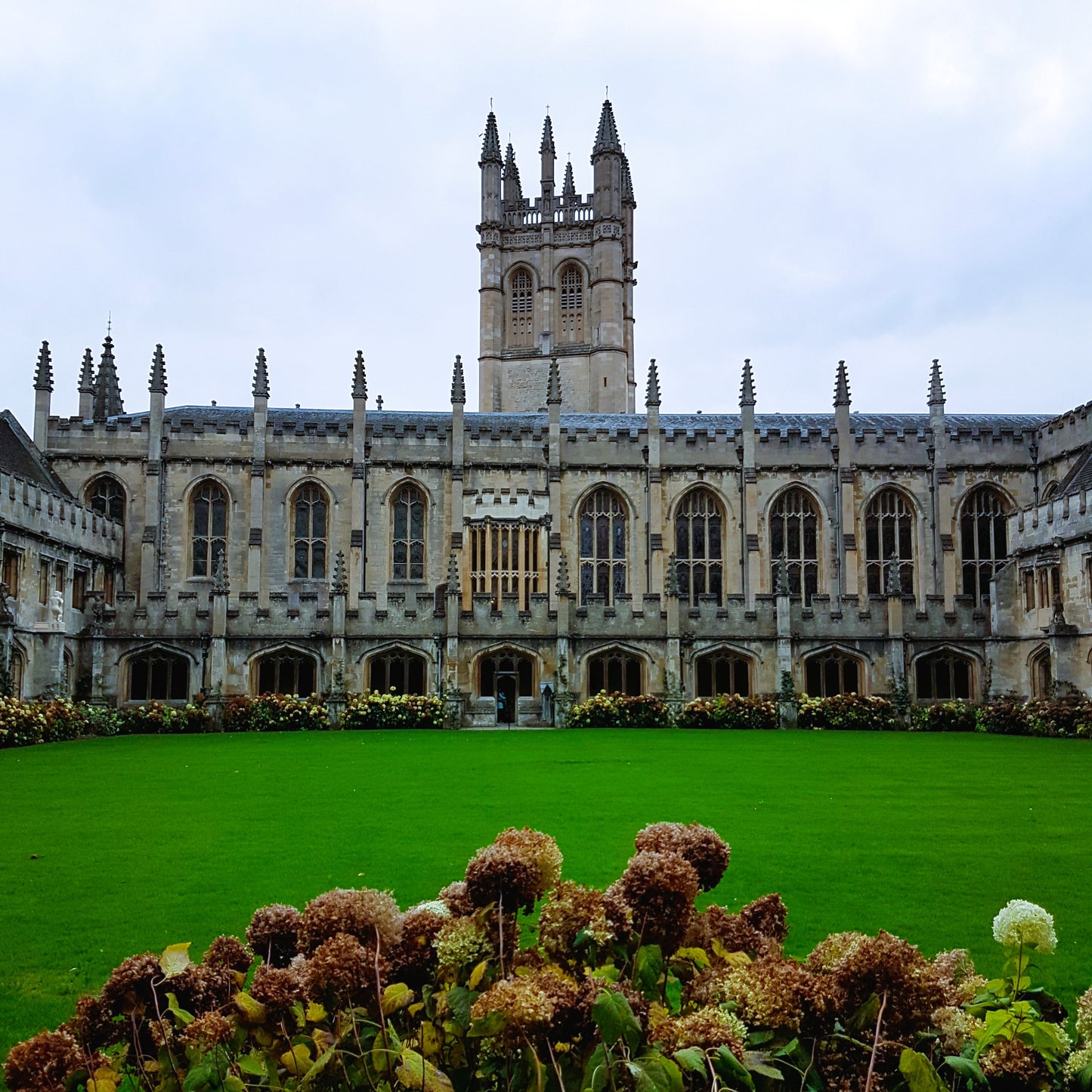 Oxford University Applications